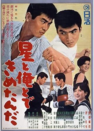 星と俺とできめたんだのポスター