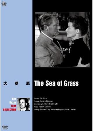 大草原のポスター