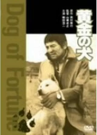 黄金の犬のポスター