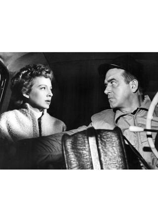 ギャングを狙う男のポスター