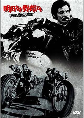 明日なき野郎どものポスター