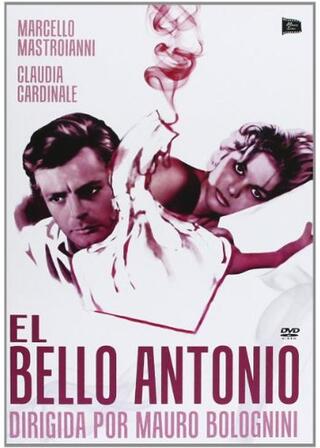 汚れなき抱擁のポスター