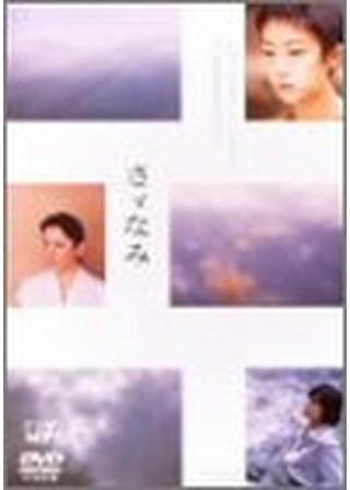 さゞなみのポスター