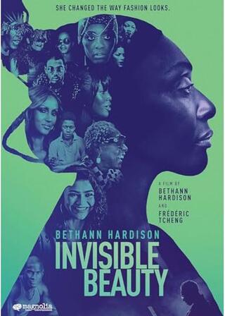 Invisible Beauty（原題）のポスター