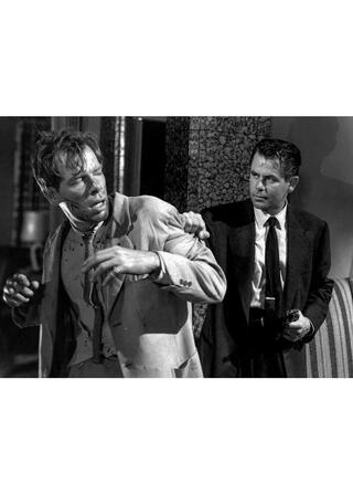 ビッグ・ヒート／復讐は俺に任せろのポスター