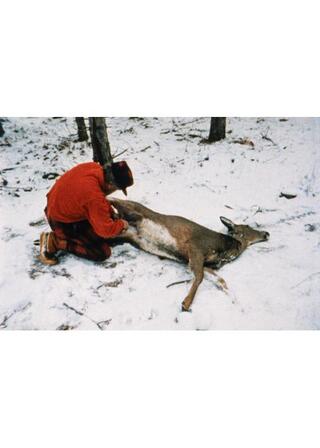 ランドスケープ・スーサイドのポスター