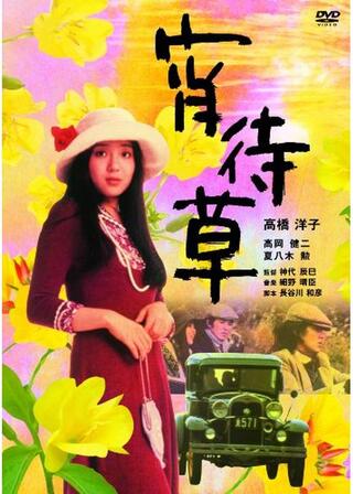 宵待草のポスター