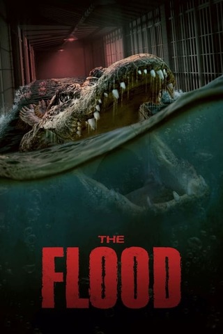 The Flood(原題)のポスター