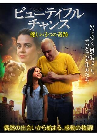 ビューティフル・チャンス 優しい3つの奇跡のポスター