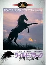 ワイルド・ブラック／少年の黒い馬のポスター