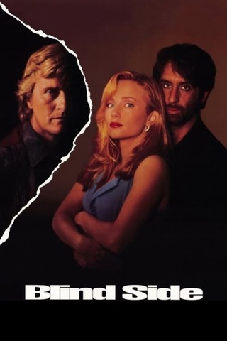 ビジター／欲望の死角のポスター