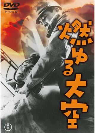 燃ゆる大空のポスター