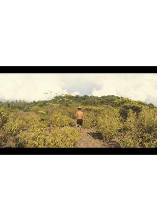 鳥が飛び立つときのポスター