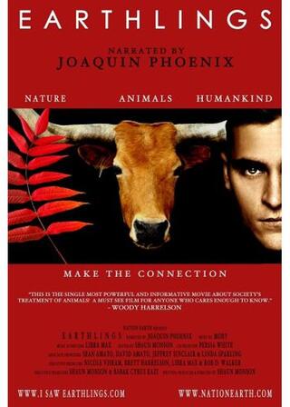 アースリングスのポスター