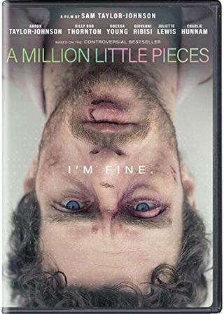 A Million Little Pieces（原題）のポスター