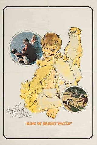 かわうそ物語のポスター