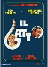 IL GATTO 猫のポスター