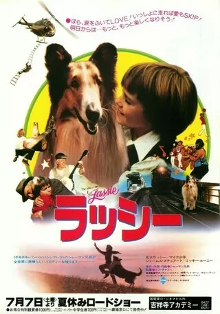 ラッシーのポスター