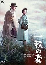 一粒の麦のポスター