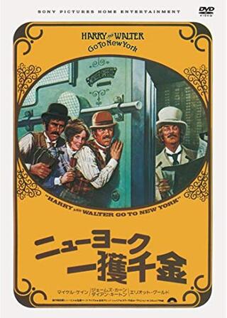 ニューヨーク一獲千金のポスター