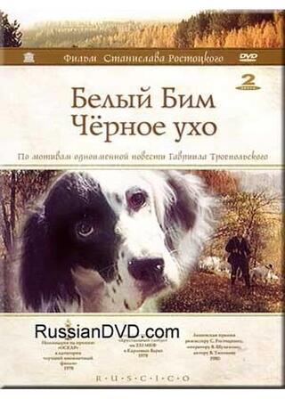 黒い耳の白い犬のポスター