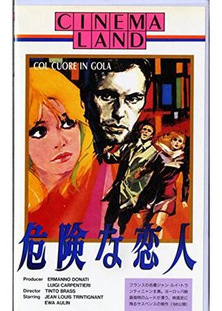 危険な恋人のポスター