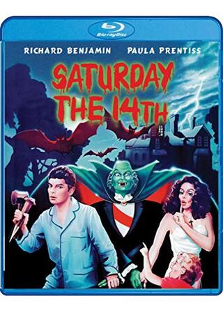 新・14日の土曜日のポスター