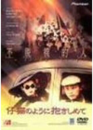 仔猫のように抱きしめてのポスター