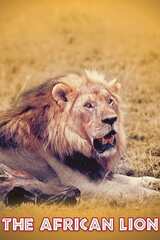 百獣の王ライオンのポスター