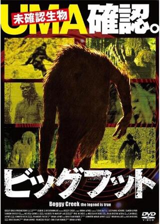 ビッグフット UMA確認。のポスター