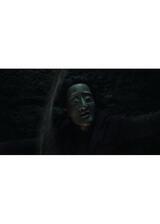 ザ・フォールのポスター