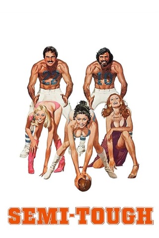 タッチダウンのポスター