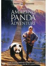 リトル・パンダの冒険のポスター