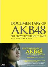 DOCUMENTARY of AKB48 NO FLOWER WITHOUT RAIN 少女たちは涙の後に何を見る？のポスター