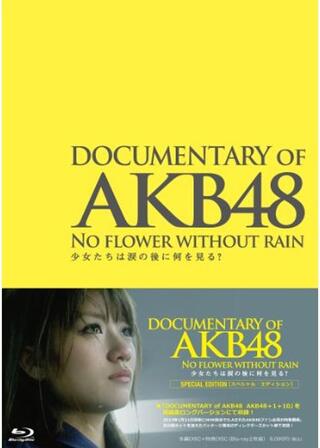 DOCUMENTARY of AKB48 NO FLOWER WITHOUT RAIN 少女たちは涙の後に何を見る?のポスター