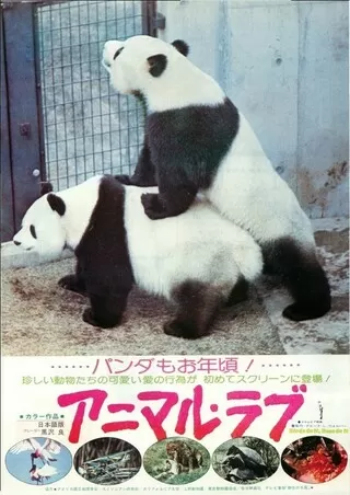 アニマル・ラブのポスター