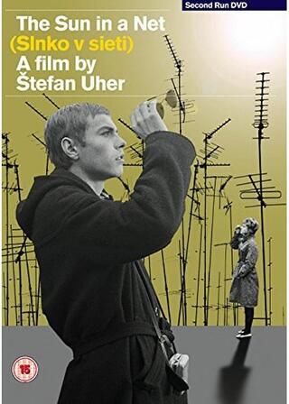 The Sun in a Net（英題）のポスター