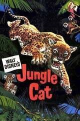 ジャングル・キャットのポスター