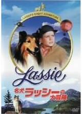 名犬ラッシーの大冒険のポスター