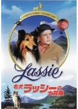 名犬ラッシーの大冒険のポスター