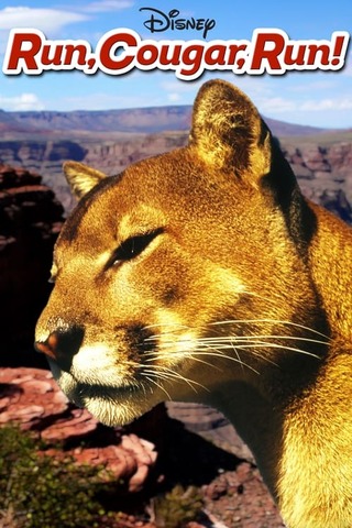 母親クーガーの一生のポスター