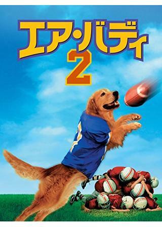 エア・バディ2 解説・レビュー・評価 映画ポップコーン