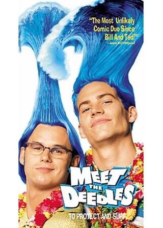 ディードル・ブラザーズ／悪ノリ双子の大作戦のポスター