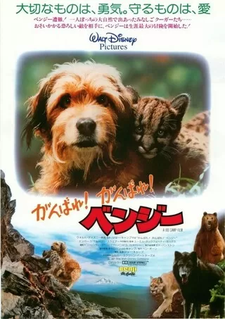 ベンジー 解説 レビュー 評価 映画ポップコーン