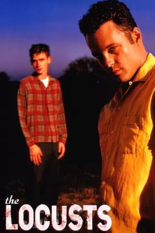 ザ・ローカスト／あばかれた夏のポスター