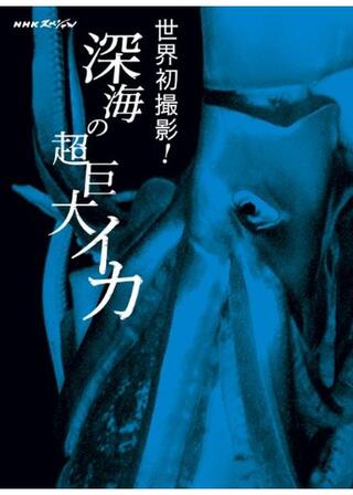 劇場版 NHKスペシャル 世界初撮影！深海の超巨大イカのポスター