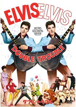 ダブル・トラブルのポスター