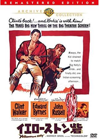 イエローストン砦のポスター