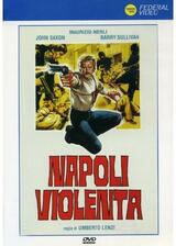 ナポリ犯罪ルートのポスター