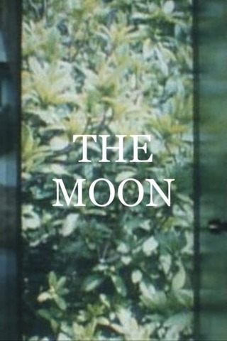 THE MOONのポスター